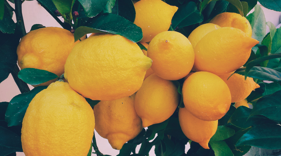 Le Citron de Menton