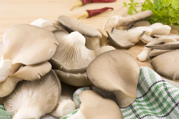 Pleurotes poêlées au saké, assaisonnées au miso et poivre d’origine