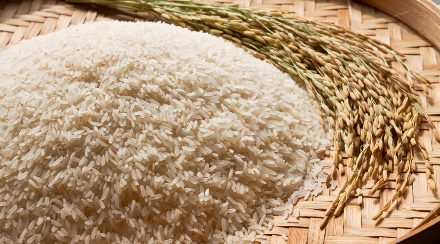 Connaissez-vous vraiment le riz ? (Partie V)