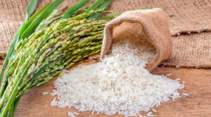 Connaissez-vous vraiment bien le riz ? (Partie I)