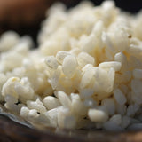 Koji frais de riz blanc Bio